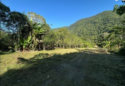TERRENO EN VENTA - ZONA TURÍSTICA - TINGO MARIA