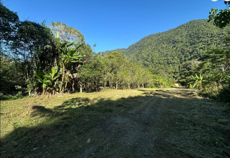 TERRENO EN VENTA - ZONA TURÍSTICA - TINGO MARIA