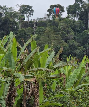 TERRENO - LAGUNA DE LOS MILAGROS - TINGO MARIA