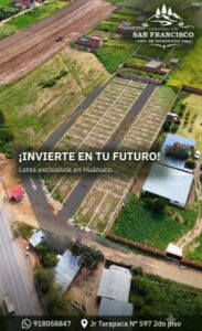 LOTES EN VENTA - VICHAYCOTO - HUANUCO