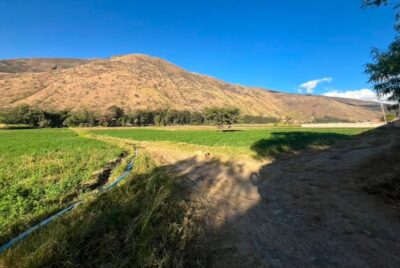 01.02.01 HUANUCO - QUICACAN - TERRENO EN VENTA