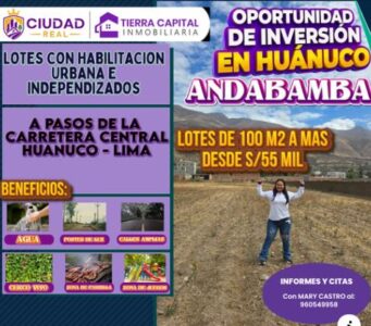 01.03.01 HUANUCO - ANDABAMBA - TERRENO EN VENTA