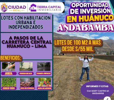01.03.01 HUANUCO - ANDABAMBA - TERRENO EN VENTA