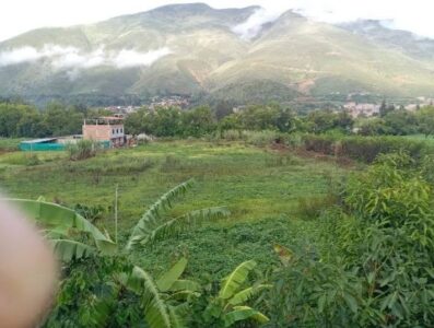 01.05.01 HUANUCO - VICHAYCOTO - TERRENO EN VENTA