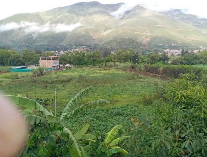 01.05.01 HUANUCO - VICHAYCOTO - TERRENO EN VENTA
