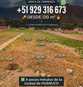01.05.01 HUANUCO - VICHAYCOTO - TERRENO EN VENTA