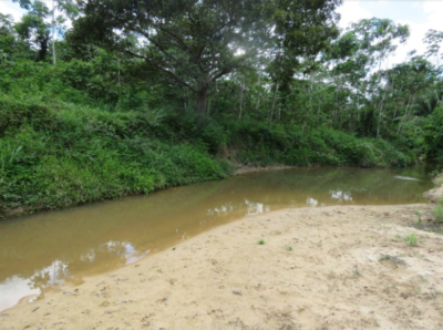 03.01.04 PUCALLPA - CAMPO VERDE - TERRENO EN VENTA