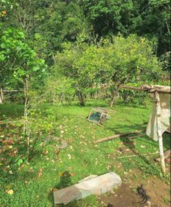 02.11.01 TINGO MARIA - LAS PALMAS - TERRENO EN VENTA