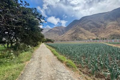01.07.15 HUANUCO - COLPA BAJA - TERRENO EN VENTA