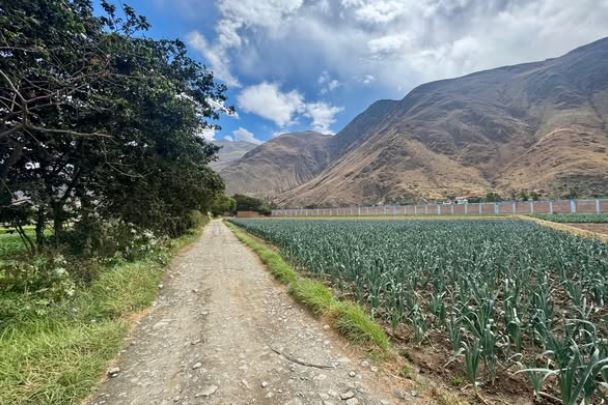 01.07.15 HUANUCO - COLPA BAJA - TERRENO EN VENTA