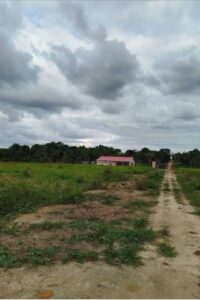 03.04.01 PUCALLPA - CAMPO VERDE - TERRENO EN VENTA