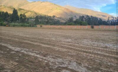 01.01.07 HUANUCO - LA ESPERANZA - TERRENO EN VENTA