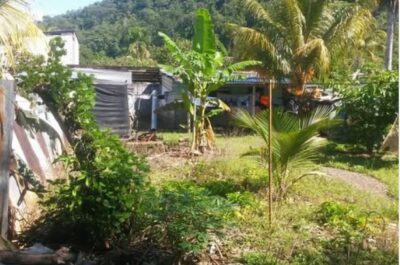 02.01.07 TINGO MARIA - CIUDAD - TERRENO EN VENTA