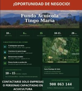 05.02.01 TINGO MARIA - PUEBLO NUEVO - TERRENO EN VENTA
