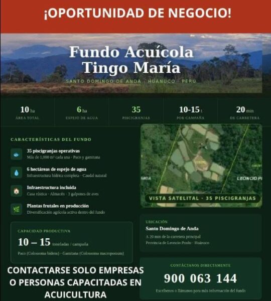 05.02.01 TINGO MARIA - PUEBLO NUEVO - TERRENO EN VENTA
