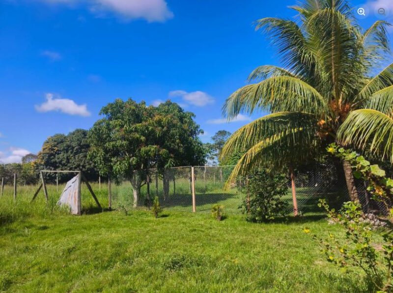 03.03.01 PUCALLPA - MANTAY - TERRENO EN VENTA