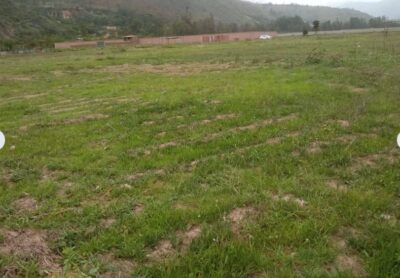 01.02.03 HUANUCO - QUICACAN - LOTES EN VENTA