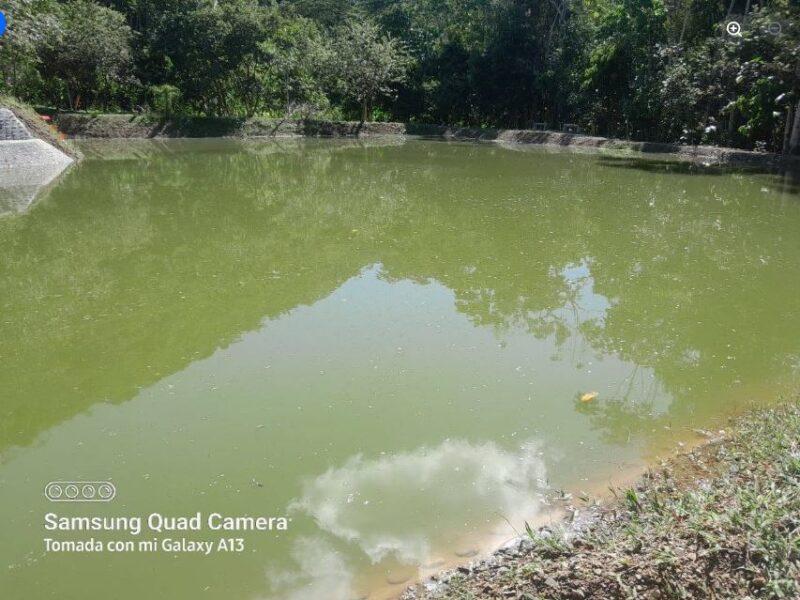 05.02.01 TINGO MARIA - PUEBLO NUEVO - TERRENO EN VENTA