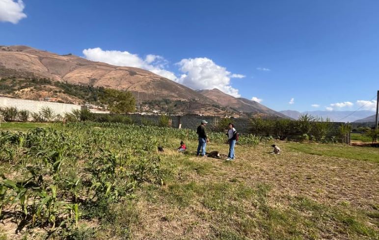 01.02.02 HUANUCO - QUICACAN - TERRENO EN VENTA