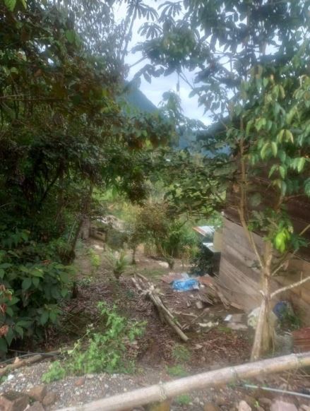 02.08.01 TINGO MARIA - BELLA ALTA - TERRENO EN VENTA