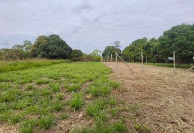 03.03.01 PUCALLPA - MANTAY - TERRENO EN VENTA