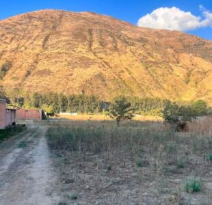 01.02.04 HUANUCO - QUICACAN - TERRENO EN VENTA