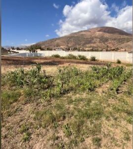 01.02.02 HUANUCO - QUICACAN - TERRENO EN VENTA