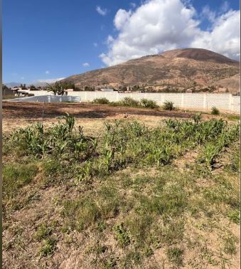 01.02.02 HUANUCO - QUICACAN - TERRENO EN VENTA