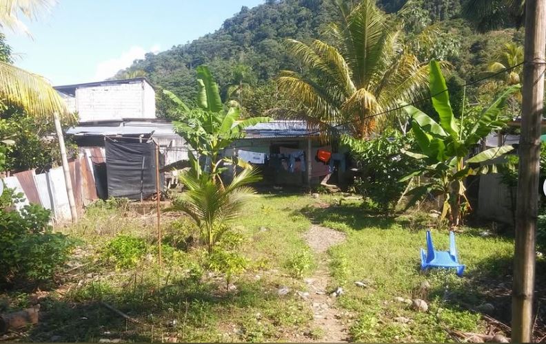 02.01.07 TINGO MARIA - CIUDAD - TERRENO EN VENTA