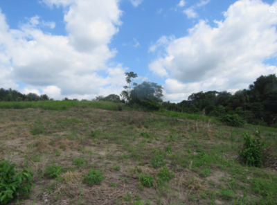 03.01.04 PUCALLPA - CAMPO VERDE - TERRENO EN VENTA