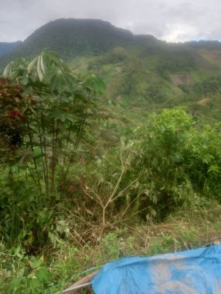 02.08.01 TINGO MARIA - BELLA ALTA - TERRENO EN VENTA