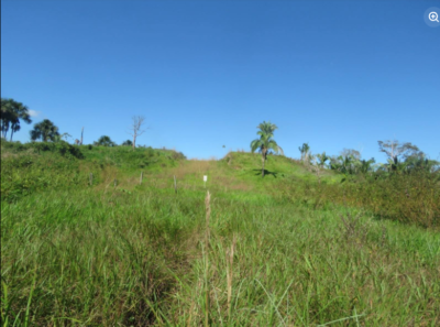 03.01.04 PUCALLPA - CAMPO VERDE - TERRENO EN VENTA