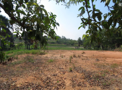 03.01.04 PUCALLPA - CAMPO VERDE - TERRENO EN VENTA