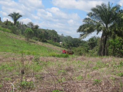 03.01.04 PUCALLPA - CAMPO VERDE - TERRENO EN VENTA