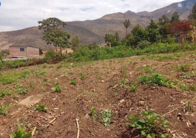 01.08.03 HUANCACHUPA - HUANUCO - TERRENO EN VENTA