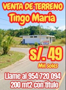 02.02.11 TINGO MARIA - CIUDAD - TERRENO EN VENTA