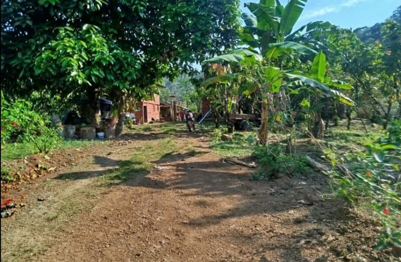 01.04.02 CAMPO VERDE - PUCALLPA - TERRENO EN VENTA