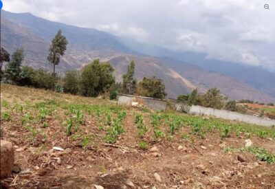01.08.03 HUANCACHUPA - HUANUCO - TERRENO EN VENTA