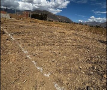 01.06.09 LA ESPERANZA - HUANUCO - TERRENO EN VENTA
