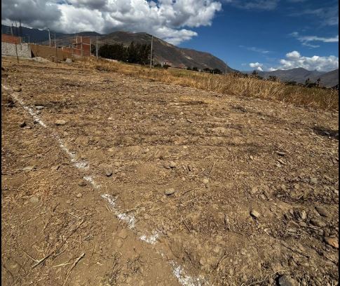01.06.09 LA ESPERANZA - HUANUCO - TERRENO EN VENTA