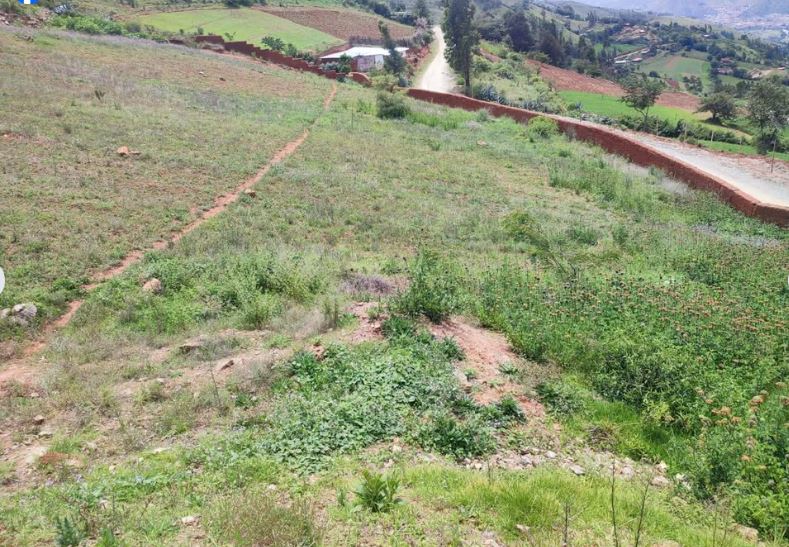 01.09.02 TOMAYQUICHUA - AMBO - TERRENO EN VENTA