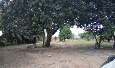 03.01.06 YARINACOCHA - PUCALLPA - TERRENO EN VENTA