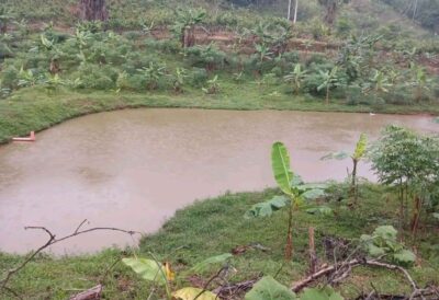 01.04.02 CAMPO VERDE - PUCALLPA - TERRENO EN VENTA