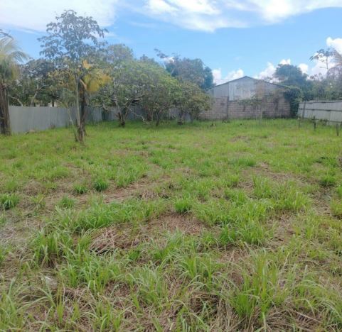 03.01.07 YARINACOCHA - PUCALLPA - TERRENO EN VENTA