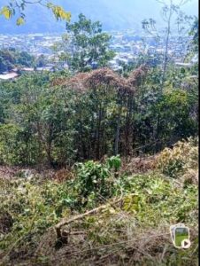 02.01.10 TINGO MARIA - CIUDAD - TERRENO EN VENTA