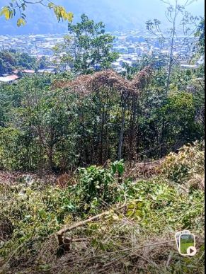 02.01.10 TINGO MARIA - CIUDAD - TERRENO EN VENTA