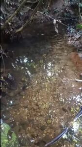03.05.03 AGUAYTIA - TERRENO EN VENTA POR HECTAREAS