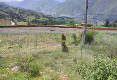 01.09.02 TOMAYQUICHUA - AMBO - TERRENO EN VENTA