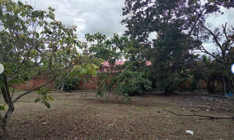 03.01.06 YARINACOCHA - PUCALLPA - TERRENO EN VENTA
