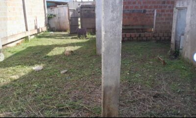 03.01.07 CALLERIA - PUCALLPA - TERRENO EN VENTA